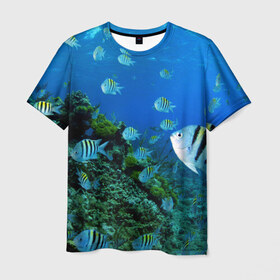 Мужская футболка 3D с принтом Подводный мир в Новосибирске, 100% полиэфир | прямой крой, круглый вырез горловины, длина до линии бедер | дно | океан | природа | рыбки