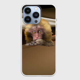 Чехол для iPhone 13 Pro с принтом Мартышка в Новосибирске,  |  | голова животного | мартышка | обезьяна | прикольные картинки