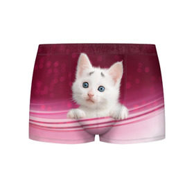 Мужские трусы 3D с принтом Белый котёнок в Новосибирске, 50% хлопок, 50% полиэстер | классическая посадка, на поясе мягкая тканевая резинка | Тематика изображения на принте: киска | кот | котёнок | кошка | прикольные картинки