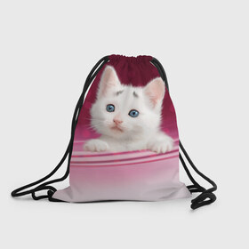 Рюкзак-мешок 3D с принтом Белый котёнок в Новосибирске, 100% полиэстер | плотность ткани — 200 г/м2, размер — 35 х 45 см; лямки — толстые шнурки, застежка на шнуровке, без карманов и подкладки | киска | кот | котёнок | кошка | прикольные картинки