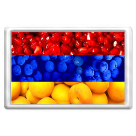 Магнит 45*70 с принтом Флаг Армении в Новосибирске, Пластик | Размер: 78*52 мм; Размер печати: 70*45 | Тематика изображения на принте: армения | гранат | персик | слива | страны | флаг армении | фрукты