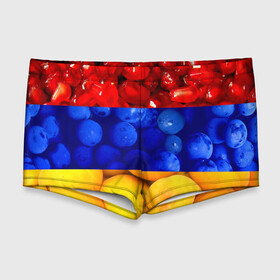 Мужские купальные плавки 3D с принтом Флаг Армении в Новосибирске, Полиэстер 85%, Спандекс 15% |  | Тематика изображения на принте: армения | гранат | персик | слива | страны | флаг армении | фрукты