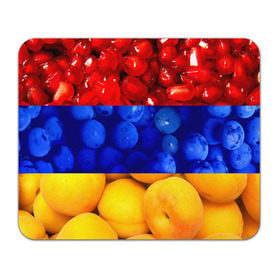 Коврик прямоугольный с принтом Флаг Армении в Новосибирске, натуральный каучук | размер 230 х 185 мм; запечатка лицевой стороны | армения | гранат | персик | слива | страны | флаг армении | фрукты