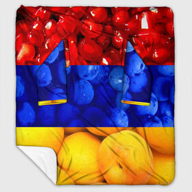 Плед с рукавами с принтом Флаг Армении в Новосибирске, 100% полиэстер | Закругленные углы, все края обработаны. Ткань не мнется и не растягивается. Размер 170*145 | Тематика изображения на принте: армения | гранат | персик | слива | страны | флаг армении | фрукты