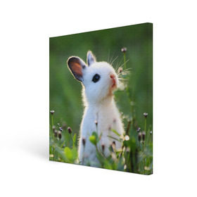 Холст квадратный с принтом Кролик в Новосибирске, 100% ПВХ |  | Тематика изображения на принте: animal | baby | cute | flowers | fluffy | hare | lawn | little | meadow | rabbit | животное | заяц | кролик | луг | лужайка | маленький | малыш | милый | пушистый | цветы