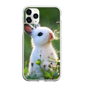 Чехол для iPhone 11 Pro матовый с принтом Кролик в Новосибирске, Силикон |  | animal | baby | cute | flowers | fluffy | hare | lawn | little | meadow | rabbit | животное | заяц | кролик | луг | лужайка | маленький | малыш | милый | пушистый | цветы
