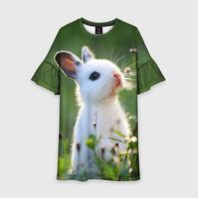 Детское платье 3D с принтом Кролик в Новосибирске, 100% полиэстер | прямой силуэт, чуть расширенный к низу. Круглая горловина, на рукавах — воланы | animal | baby | cute | flowers | fluffy | hare | lawn | little | meadow | rabbit | животное | заяц | кролик | луг | лужайка | маленький | малыш | милый | пушистый | цветы
