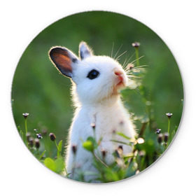 Коврик круглый с принтом Кролик в Новосибирске, резина и полиэстер | круглая форма, изображение наносится на всю лицевую часть | animal | baby | cute | flowers | fluffy | hare | lawn | little | meadow | rabbit | животное | заяц | кролик | луг | лужайка | маленький | малыш | милый | пушистый | цветы