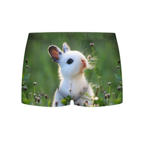 Мужские трусы 3D с принтом Кролик в Новосибирске, 50% хлопок, 50% полиэстер | классическая посадка, на поясе мягкая тканевая резинка | animal | baby | cute | flowers | fluffy | hare | lawn | little | meadow | rabbit | животное | заяц | кролик | луг | лужайка | маленький | малыш | милый | пушистый | цветы
