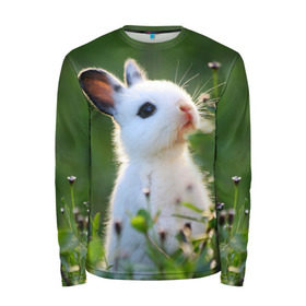 Мужской лонгслив 3D с принтом Кролик в Новосибирске, 100% полиэстер | длинные рукава, круглый вырез горловины, полуприлегающий силуэт | animal | baby | cute | flowers | fluffy | hare | lawn | little | meadow | rabbit | животное | заяц | кролик | луг | лужайка | маленький | малыш | милый | пушистый | цветы