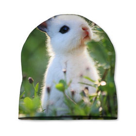 Шапка 3D с принтом Кролик в Новосибирске, 100% полиэстер | универсальный размер, печать по всей поверхности изделия | animal | baby | cute | flowers | fluffy | hare | lawn | little | meadow | rabbit | животное | заяц | кролик | луг | лужайка | маленький | малыш | милый | пушистый | цветы