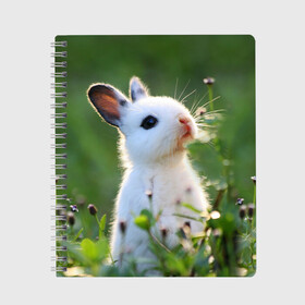 Тетрадь с принтом Кролик в Новосибирске, 100% бумага | 48 листов, плотность листов — 60 г/м2, плотность картонной обложки — 250 г/м2. Листы скреплены сбоку удобной пружинной спиралью. Уголки страниц и обложки скругленные. Цвет линий — светло-серый
 | animal | baby | cute | flowers | fluffy | hare | lawn | little | meadow | rabbit | животное | заяц | кролик | луг | лужайка | маленький | малыш | милый | пушистый | цветы