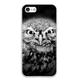 Чехол для iPhone 5/5S матовый с принтом Сова в Новосибирске, Силикон | Область печати: задняя сторона чехла, без боковых панелей | beak | bird | eyes | fear | hypnosis | look | night | owl | predator | взгляд | гипноз | глаза | клюв | ночь | птица | сова | хищник