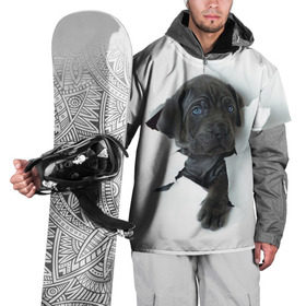 Накидка на куртку 3D с принтом щенок Кане Корсо в Новосибирске, 100% полиэстер |  | animal | black | break | breed | dog | kid | paper | puppy | tear | torn | дог | животное | малыш | порода | прорыв | разрыв | рваная | собака | черный | щенок