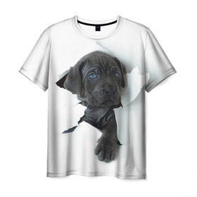 Мужская футболка 3D с принтом щенок Кане Корсо в Новосибирске, 100% полиэфир | прямой крой, круглый вырез горловины, длина до линии бедер | Тематика изображения на принте: animal | black | break | breed | dog | kid | paper | puppy | tear | torn | дог | животное | малыш | порода | прорыв | разрыв | рваная | собака | черный | щенок