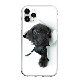 Чехол для iPhone 11 Pro матовый с принтом щенок Кане Корсо в Новосибирске, Силикон |  | Тематика изображения на принте: animal | black | break | breed | dog | kid | paper | puppy | tear | torn | дог | животное | малыш | порода | прорыв | разрыв | рваная | собака | черный | щенок