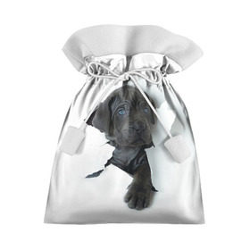 Подарочный 3D мешок с принтом щенок Кане Корсо в Новосибирске, 100% полиэстер | Размер: 29*39 см | animal | black | break | breed | dog | kid | paper | puppy | tear | torn | дог | животное | малыш | порода | прорыв | разрыв | рваная | собака | черный | щенок