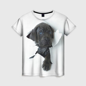 Женская футболка 3D с принтом щенок Кане Корсо в Новосибирске, 100% полиэфир ( синтетическое хлопкоподобное полотно) | прямой крой, круглый вырез горловины, длина до линии бедер | animal | black | break | breed | dog | kid | paper | puppy | tear | torn | дог | животное | малыш | порода | прорыв | разрыв | рваная | собака | черный | щенок