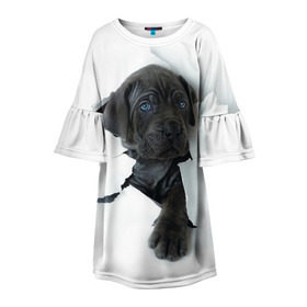 Детское платье 3D с принтом щенок Кане Корсо в Новосибирске, 100% полиэстер | прямой силуэт, чуть расширенный к низу. Круглая горловина, на рукавах — воланы | animal | black | break | breed | dog | kid | paper | puppy | tear | torn | дог | животное | малыш | порода | прорыв | разрыв | рваная | собака | черный | щенок