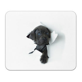 Коврик прямоугольный с принтом щенок Кане Корсо в Новосибирске, натуральный каучук | размер 230 х 185 мм; запечатка лицевой стороны | animal | black | break | breed | dog | kid | paper | puppy | tear | torn | дог | животное | малыш | порода | прорыв | разрыв | рваная | собака | черный | щенок