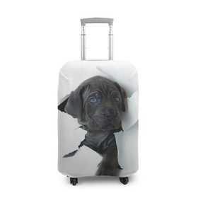 Чехол для чемодана 3D с принтом щенок Кане Корсо в Новосибирске, 86% полиэфир, 14% спандекс | двустороннее нанесение принта, прорези для ручек и колес | Тематика изображения на принте: animal | black | break | breed | dog | kid | paper | puppy | tear | torn | дог | животное | малыш | порода | прорыв | разрыв | рваная | собака | черный | щенок