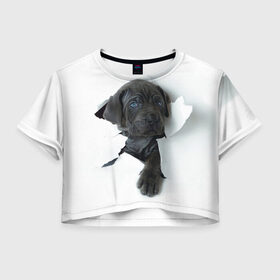 Женская футболка 3D укороченная с принтом щенок Кане Корсо в Новосибирске, 100% полиэстер | круглая горловина, длина футболки до линии талии, рукава с отворотами | animal | black | break | breed | dog | kid | paper | puppy | tear | torn | дог | животное | малыш | порода | прорыв | разрыв | рваная | собака | черный | щенок