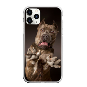 Чехол для iPhone 11 Pro матовый с принтом Кане корсо в Новосибирске, Силикон |  | Тематика изображения на принте: animal | breed | brown | dog | fear | jump | legs | throw | бросок | дог | животное | испуг | коричневый | лапы | порода | прыжок | собака