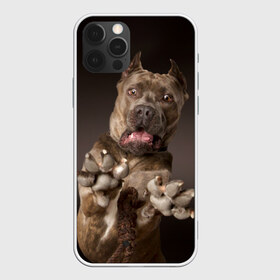 Чехол для iPhone 12 Pro Max с принтом Кане корсо в Новосибирске, Силикон |  | Тематика изображения на принте: animal | breed | brown | dog | fear | jump | legs | throw | бросок | дог | животное | испуг | коричневый | лапы | порода | прыжок | собака