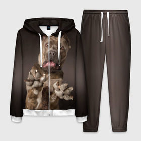 Мужской костюм 3D с принтом Кане корсо в Новосибирске, 100% полиэстер | Манжеты и пояс оформлены тканевой резинкой, двухслойный капюшон со шнурком для регулировки, карманы спереди | animal | breed | brown | dog | fear | jump | legs | throw | бросок | дог | животное | испуг | коричневый | лапы | порода | прыжок | собака