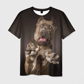 Мужская футболка 3D с принтом Кане корсо в Новосибирске, 100% полиэфир | прямой крой, круглый вырез горловины, длина до линии бедер | animal | breed | brown | dog | fear | jump | legs | throw | бросок | дог | животное | испуг | коричневый | лапы | порода | прыжок | собака