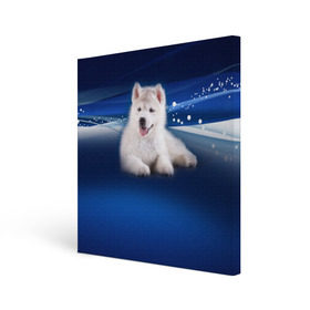 Холст квадратный с принтом Щенок хаски в Новосибирске, 100% ПВХ |  | кутёнок | прикольные картинки | собака | хаска | щенок