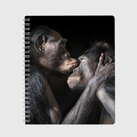 Тетрадь с принтом Шимпанзе в Новосибирске, 100% бумага | 48 листов, плотность листов — 60 г/м2, плотность картонной обложки — 250 г/м2. Листы скреплены сбоку удобной пружинной спиралью. Уголки страниц и обложки скругленные. Цвет линий — светло-серый
 | chimps | family | feelings | kiss | monkeys | primates | любовь | обезьяны | поцелуй | приматы | семья | чувства | шимпанзе