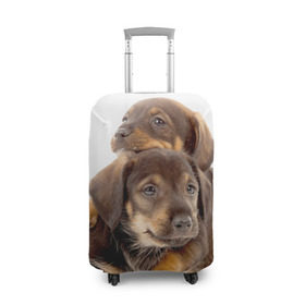 Чехол для чемодана 3D с принтом Таксы в Новосибирске, 86% полиэфир, 14% спандекс | двустороннее нанесение принта, прорези для ручек и колес | Тематика изображения на принте: brothers | dachshunds | kids | pets | puppies | small dogs | братья | животные | маленькие | малыши | собаки | таксы | щенки