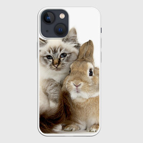 Чехол для iPhone 13 mini с принтом Кот и кролик в Новосибирске,  |  | cat | cute | fluffy | friends | friendship | hug | kitty | rabbit | toddlers | дружба | друзья | кот | котенок | кролик | любовь | малыши | милые | обнимаются | пушистые