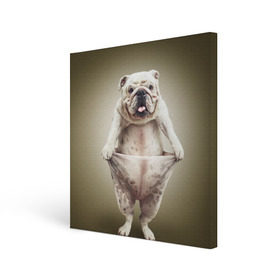 Холст квадратный с принтом Бульдог английский в Новосибирске, 100% ПВХ |  | animals | breed | dog | english bulldog | funny | joke | pants | surrealism | бульдог английский | животное | порода | прикол | собака | сюрреализм | шутка