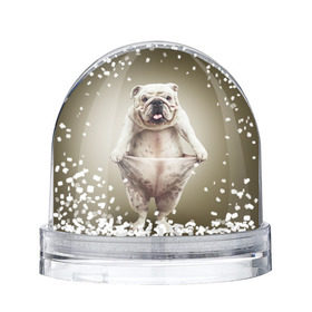 Снежный шар с принтом Бульдог английский в Новосибирске, Пластик | Изображение внутри шара печатается на глянцевой фотобумаге с двух сторон | animals | breed | dog | english bulldog | funny | joke | pants | surrealism | бульдог английский | животное | порода | прикол | собака | сюрреализм | шутка