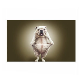 Бумага для упаковки 3D с принтом Бульдог английский в Новосибирске, пластик и полированная сталь | круглая форма, металлическое крепление в виде кольца | Тематика изображения на принте: animals | breed | dog | english bulldog | funny | joke | pants | surrealism | бульдог английский | животное | порода | прикол | собака | сюрреализм | шутка