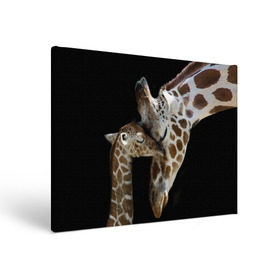 Холст прямоугольный с принтом Жирафы в Новосибирске, 100% ПВХ |  | africa | animals | baby | child | family | giraffes | head | mother | африка | головы | животные | жирафы | любовь | малыш | мама | ребенок | семья