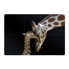 Магнитный плакат 3Х2 с принтом Жирафы в Новосибирске, Полимерный материал с магнитным слоем | 6 деталей размером 9*9 см | Тематика изображения на принте: africa | animals | baby | child | family | giraffes | head | mother | африка | головы | животные | жирафы | любовь | малыш | мама | ребенок | семья