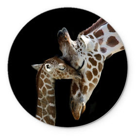 Коврик круглый с принтом Жирафы в Новосибирске, резина и полиэстер | круглая форма, изображение наносится на всю лицевую часть | Тематика изображения на принте: africa | animals | baby | child | family | giraffes | head | mother | африка | головы | животные | жирафы | любовь | малыш | мама | ребенок | семья