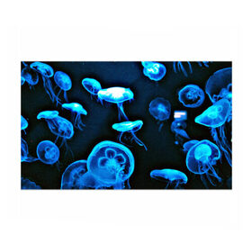 Бумага для упаковки 3D с принтом Meduse в Новосибирске, пластик и полированная сталь | круглая форма, металлическое крепление в виде кольца | Тематика изображения на принте: вода | медузы | море | морские | океан