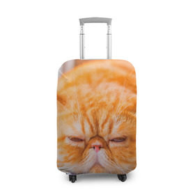 Чехол для чемодана 3D с принтом Рыжий кот в Новосибирске, 86% полиэфир, 14% спандекс | двустороннее нанесение принта, прорези для ручек и колес | кот | кошка | милая | рыжий