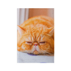 Обложка для паспорта матовая кожа с принтом Рыжий кот в Новосибирске, натуральная матовая кожа | размер 19,3 х 13,7 см; прозрачные пластиковые крепления | кот | кошка | милая | рыжий