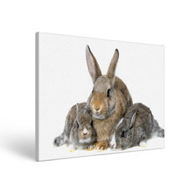 Холст прямоугольный с принтом Кролики в Новосибирске, 100% ПВХ |  | animals | bunnies | cute | eared | family | fluffy | kids | mom | rabbits | животные | зайцы | кролики | малыши | мама | милые | пушистые | семья | ушастые