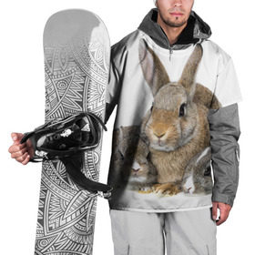 Накидка на куртку 3D с принтом Кролики в Новосибирске, 100% полиэстер |  | animals | bunnies | cute | eared | family | fluffy | kids | mom | rabbits | животные | зайцы | кролики | малыши | мама | милые | пушистые | семья | ушастые