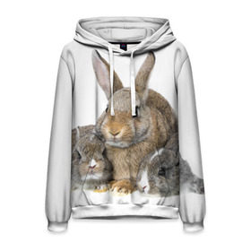 Мужская толстовка 3D с принтом Кролики в Новосибирске, 100% полиэстер | двухслойный капюшон со шнурком для регулировки, мягкие манжеты на рукавах и по низу толстовки, спереди карман-кенгуру с мягким внутренним слоем. | Тематика изображения на принте: animals | bunnies | cute | eared | family | fluffy | kids | mom | rabbits | животные | зайцы | кролики | малыши | мама | милые | пушистые | семья | ушастые