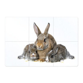 Магнитный плакат 3Х2 с принтом Кролики в Новосибирске, Полимерный материал с магнитным слоем | 6 деталей размером 9*9 см | animals | bunnies | cute | eared | family | fluffy | kids | mom | rabbits | животные | зайцы | кролики | малыши | мама | милые | пушистые | семья | ушастые