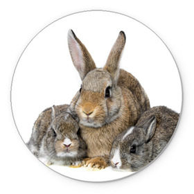 Коврик круглый с принтом Кролики в Новосибирске, резина и полиэстер | круглая форма, изображение наносится на всю лицевую часть | Тематика изображения на принте: animals | bunnies | cute | eared | family | fluffy | kids | mom | rabbits | животные | зайцы | кролики | малыши | мама | милые | пушистые | семья | ушастые