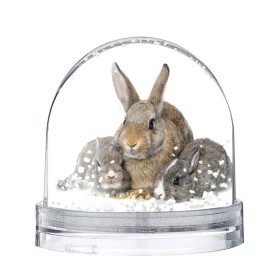 Водяной шар с принтом Кролики в Новосибирске, Пластик | Изображение внутри шара печатается на глянцевой фотобумаге с двух сторон | animals | bunnies | cute | eared | family | fluffy | kids | mom | rabbits | животные | зайцы | кролики | малыши | мама | милые | пушистые | семья | ушастые
