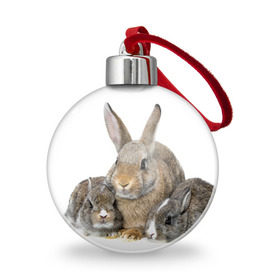 Ёлочный шар с принтом Кролики в Новосибирске, Пластик | Диаметр: 77 мм | animals | bunnies | cute | eared | family | fluffy | kids | mom | rabbits | животные | зайцы | кролики | малыши | мама | милые | пушистые | семья | ушастые